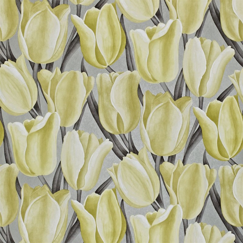Early Tulips - DVIWEA106